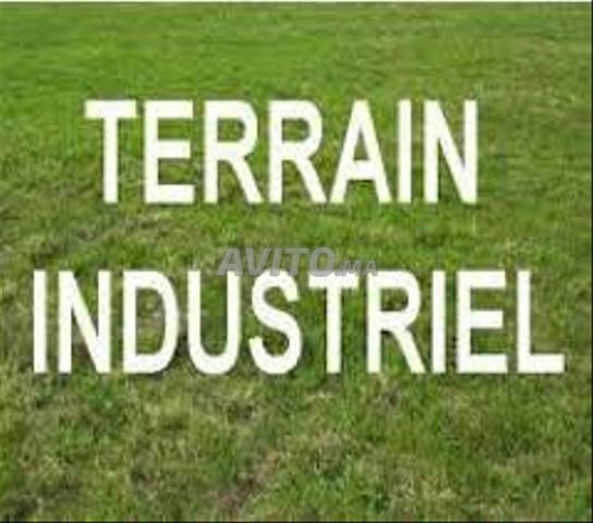 Terrain 3000m Industriels A Oulad Salah