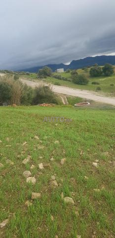 أرض للبيع جماعة السوق القديم تطوان - 2