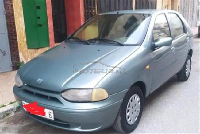 fiat palio watsap 