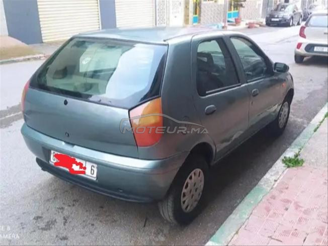 fiat palio watsap 