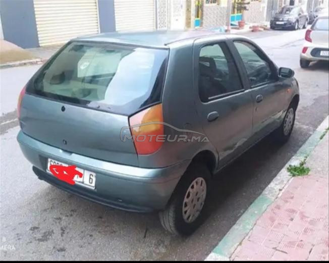 fiat palio watsap 