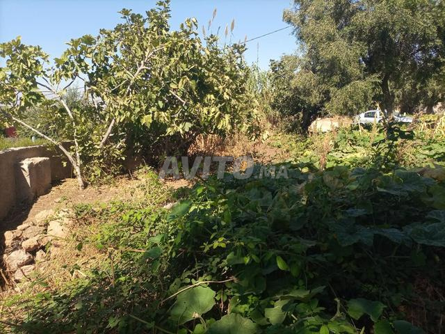 Route de Sefrou près de Behlil, Sefrou et Fès