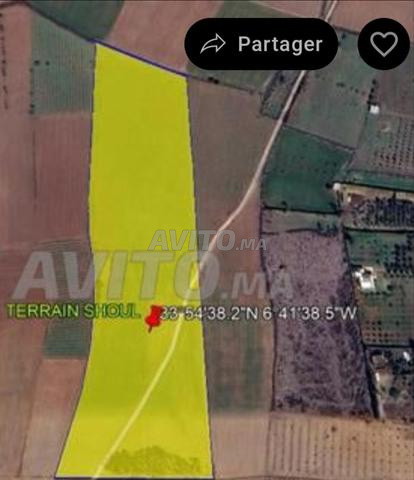 4 hectares de terrain à Shoul entierement clôturé