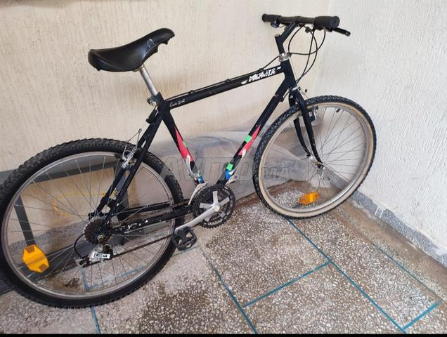 دراجة هوائية باقا نقية