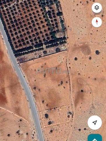 Opportunité immobilière terrain titré de 9 hectares près de Selouane