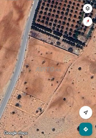 فرصة عقارية أرض محفظة 9 هكتارات قرب سلوان - 2