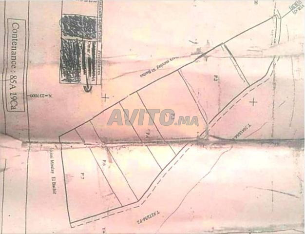 Terrain, zone villa, quartier Targa