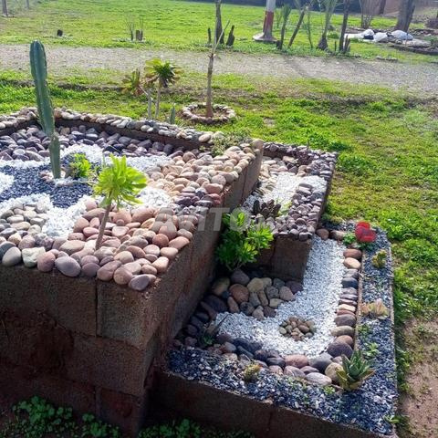 Maison de campagne vide 24 km route de Fès