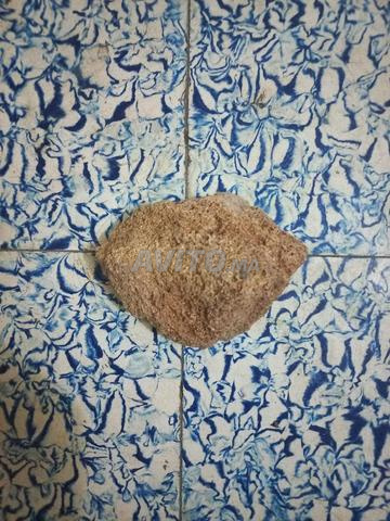 بيع حجر مسامي