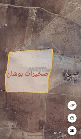 terrain 11 ha 76 ar 09 ca