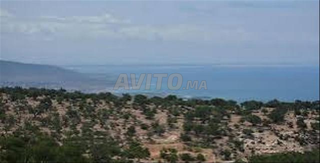 A vendre terrain Vu Mer titré a taghazout ifraden - 2