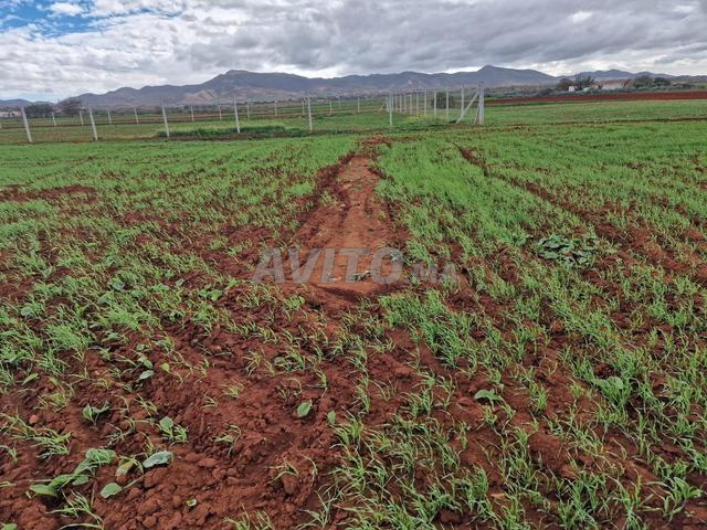 أرض للبيع في قرية أركمان بوعرك