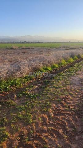Terrain agricole titré