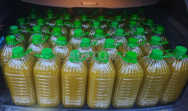 زيت زيتون بلدي حر (الفقيه بن صالح)