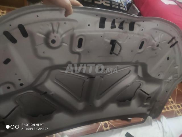 CAPO dacia Sandero Stepway