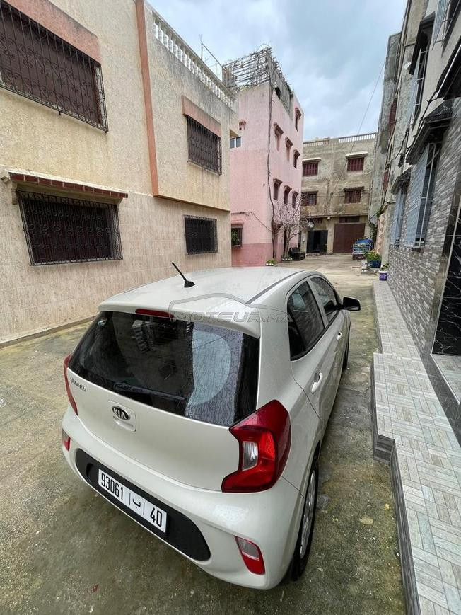 kia picanto