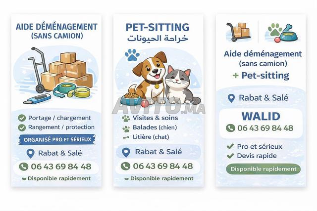 Aide déménagement SANS camion & Pet-sitting