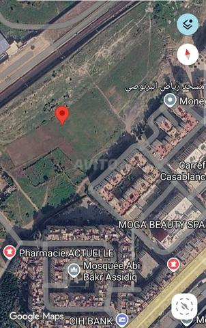 أرض 5 هكتارات E4 تجزئة برنوصي