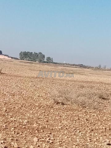 Deux hectares à vendre à Kasba Tadla