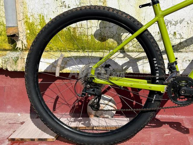 Spécialized rockhopper 29