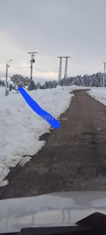 Terrain agricole titré à vendre