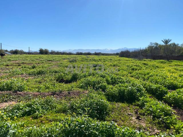 لا تضيع الفرصة هكتار محفظ بطريق فاس 24 كلم من مراكش