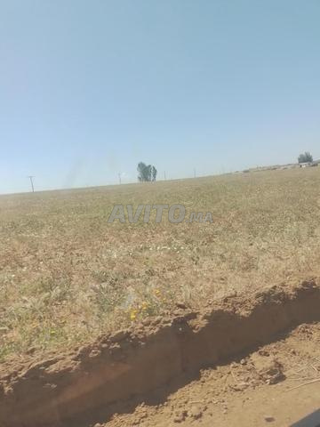 4 hectares agricoles titrés Houdren prix 24 million l'hectare