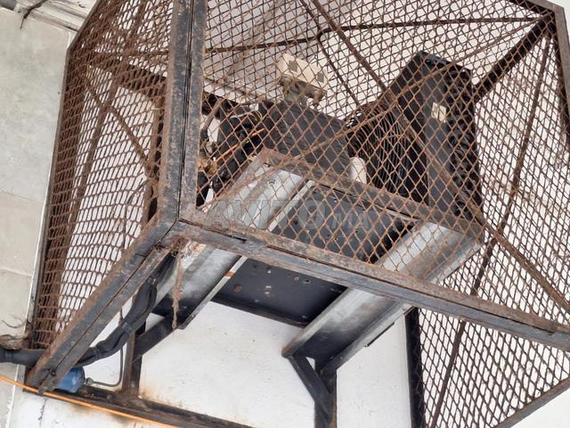 مجموعة إيجابية فرنسا 220 فولت 2 حصان لغرفة التبريد