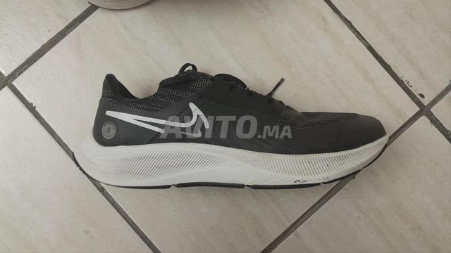 pegasus shield original P 44