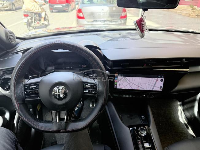 Alfa romeo junior 2025