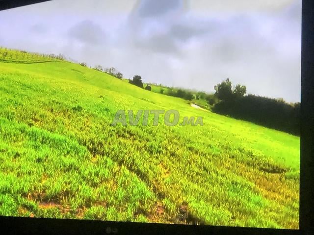 A louer appartement meublé