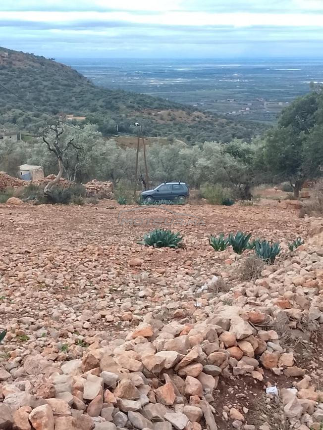 vente Fiat Uno model 1986 dédouaner 