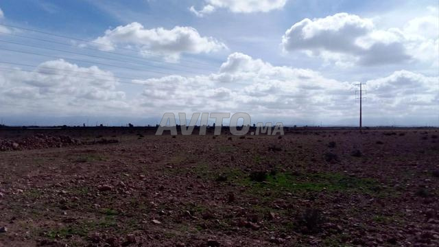 Terrain agricole à vendre pour les personnes sérieuses uniquement