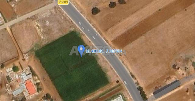 أرض مساحتها 4 هكتارات R + 3 في Swalem موقع جيد