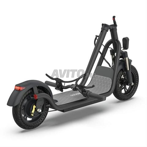 دراجة تروتينيت