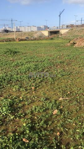 أرض في دار بوعزة فدان زهمولي