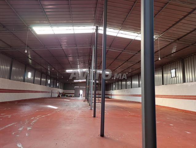 location entrepôt 1300m commune Bahraoui
