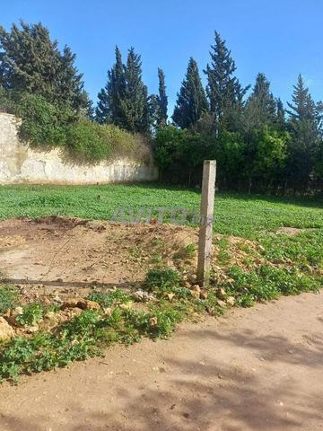 بيع بقعتين أرضيتين