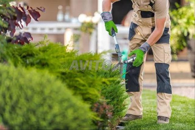 بستاني حارس يبحث عن عمل