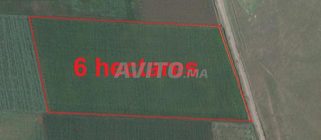 Vente terrains titrés & villas à Sidi Rahal