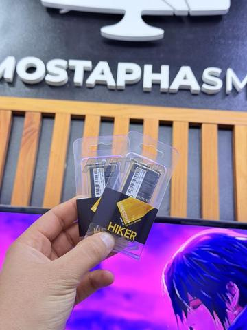 Hiker 16Go DDR5 4800Mz