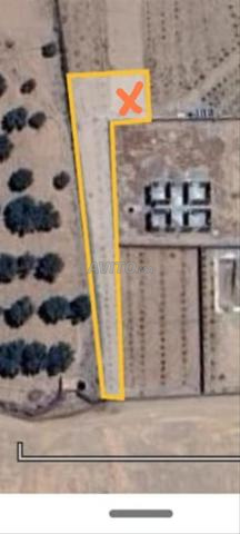 Terrain Melkiya de 1000 m² sur la Route de Fès