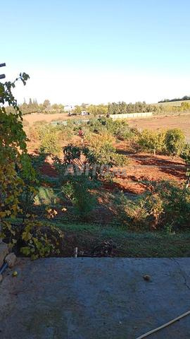 Ferme équipée proche de bahraoui