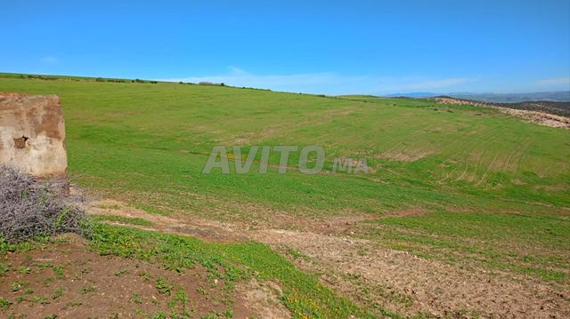 Terrain agricole titré Prix 10 million l'hectare