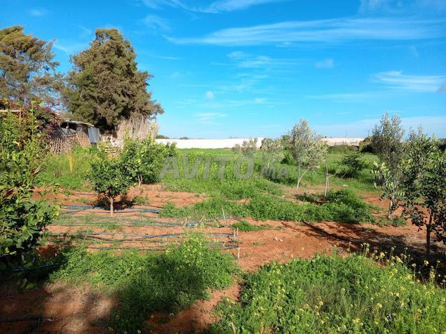 أرض للبيع بين القليعة وآيت همو