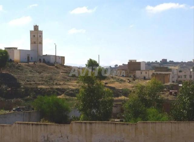 تمنار إقليم الصويرة