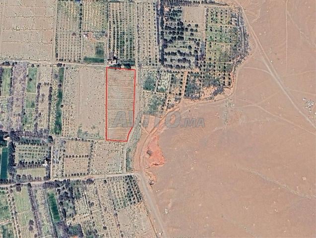 أرض للبيع