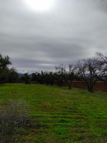 🌴✨ فرصة استثمارية حصرية ✨