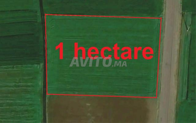 أراضٍ محفظة وفيلات مبنية للبيع بمنطقة البئر الجديد