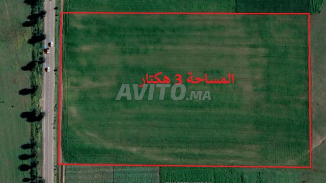 Terrains titrés et villas construites à vendre dans la région de Bir Jdid - 2